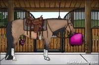 Horse Color:Brown Dun