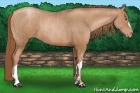 Horse Color:Liver Chestnut Pearl  and Liver Chestnut Pearl 