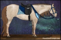 Horse Color:Liver Red Dun Pearl  and Liver Red Dun Pearl 
