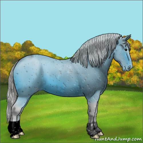 Horse Color:ERROR: UNKNOWN ANOMALY