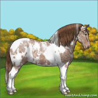 Horse Color:White Spotted Chestnut Ice Tobiano