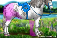 Horse Color:White Spotted Silver Black Tobiano Appaloosa