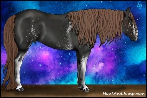 Horse Color:White Spotted Liver Chestnut Frame 