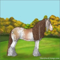 Horse Color:White Spotted Brown Pearl 