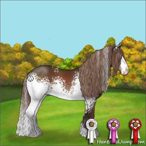 Horse Color:White Spotted Liver Chestnut