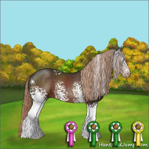 Horse Color:White Spotted Liver Chestnut 