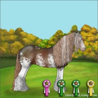 Horse Color:White Spotted Liver Chestnut 