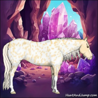 Horse Color:Palomino Near Leopard 