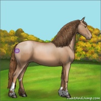 Horse Color:Liver Chestnut Pearl  and Liver Chestnut Pearl 