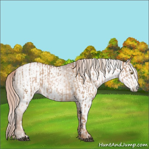 Horse Color:Liver Chestnut Pearl and Gray Liver Chestnut Pearl