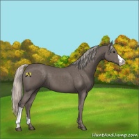 Horse Color:Silver Black 