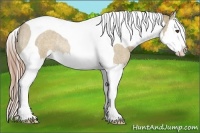 Horse Color:Liver Red Dun Roan Splash Tobiano Rabicano