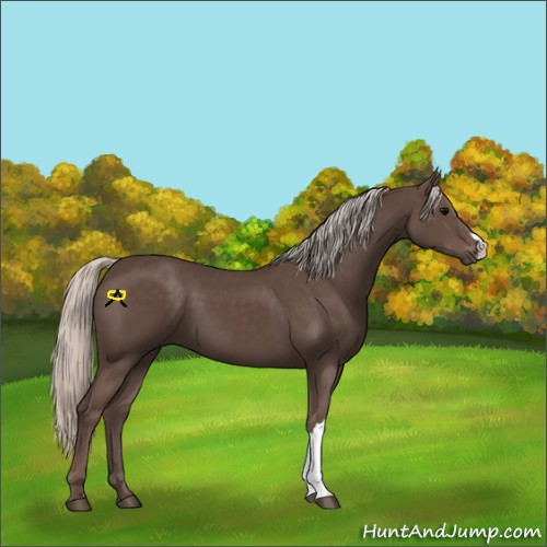 Horse Color:Silver Black 