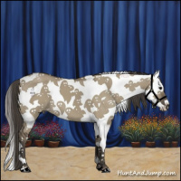 Horse Color:Smoky Grullo Sabino Splash