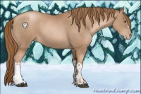 Horse Color:Liver Chestnut Pearl  and Liver Chestnut Pearl 
