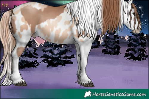 Horse Color:Black Pearl Splash Frame  and Sable Champagne Pearl Near Leopard 