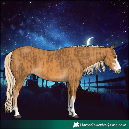 Horse Color:Chocolate Palomino  and Palomino 