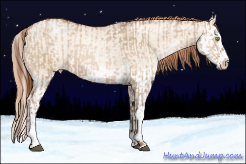 Horse Color:Bay Pearl Dun Splash  and Amber Champagne Pearl Dun Splash 