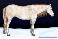 Horse Color:Bay Pearl Dun Splash and Amber Champagne Pearl Dun Splash