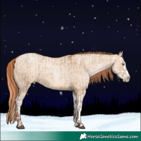 Horse Color:Bay Pearl Dun Splash  and Amber Champagne Pearl Dun Splash 