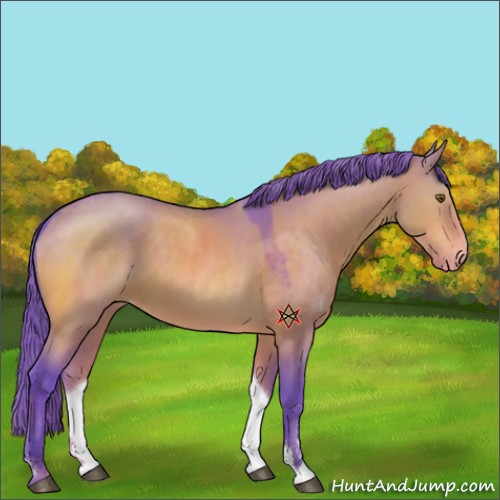 Horse Color:Watercolor Brown Dun Sabino Appaloosa 