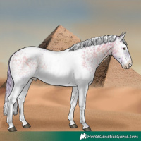 Horse Color:Platinum Watercolor Chocolate Brown Onyx Sabino Appaloosa Brindle 