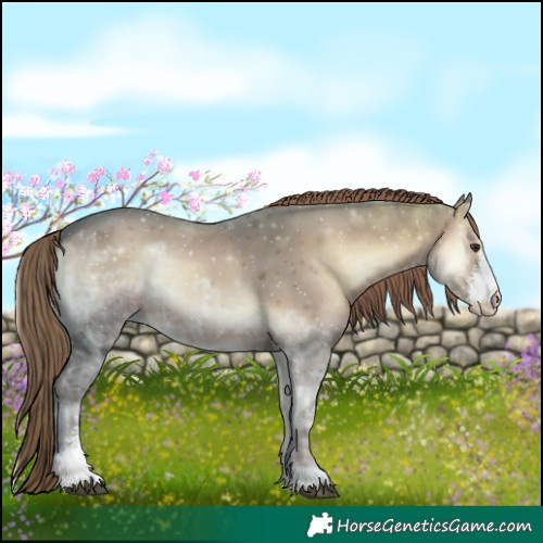 Horse Color:Liver Red Onyx Ice Sabino 