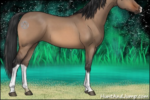 Horse Color:Bay Dun