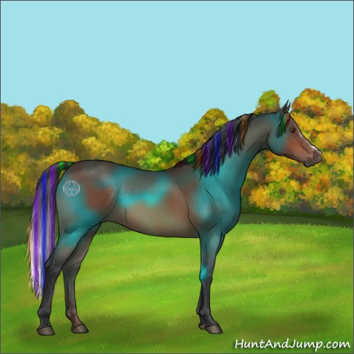 Horse Color:Painted Bay 