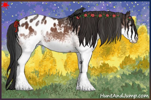 Horse Color:White Spotted Bay Appaloosa