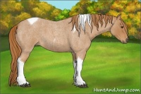 Horse Color:Red Roan Tobiano 