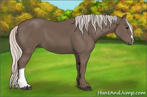 Horse Color:Silver Black 