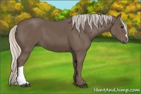 Horse Color:Silver Black 