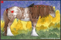 Horse Color:White Spotted Chestnut