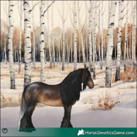 Horse Color:Gray Brown 