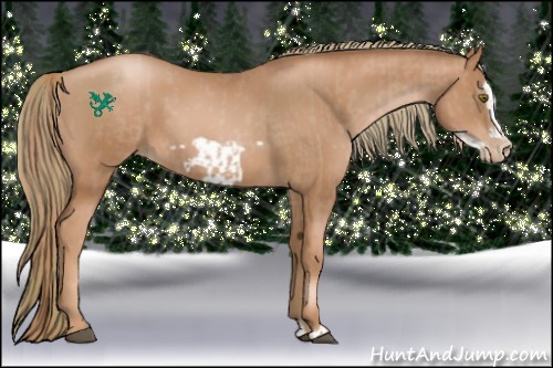 Horse Color:Liver Chestnut Pearl  and Liver Chestnut Pearl Frame 