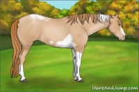 Horse Color:Red Roan Pearl Tobiano Frame 