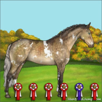 Horse Color:White Spotted Silver Buckskin Dun Mushroom 