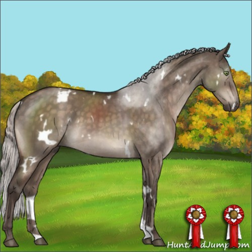 Horse Color:White Spotted Silver Brown Dun Mushroom Brindle 