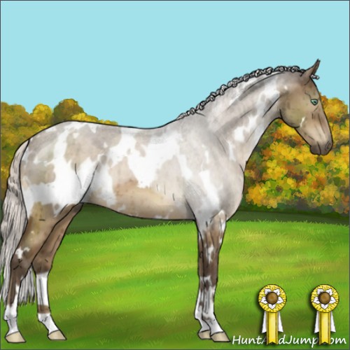 Horse Color:White Spotted Silver Buckskin Dun Mushroom Brindle 