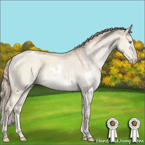 Horse Color:White Spotted Perlino Dun Mushroom 