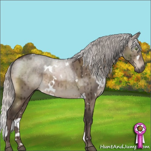 Horse Color:White Spotted Silver Brown Dun Mushroom Brindle