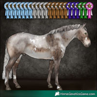Horse Color:White Spotted Silver Brown Dun Mushroom Brindle