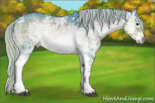 Horse Color:Watercolor White Spotted Silver Smoky Blue Onyx Ice Sabino Splash Rabicano 
