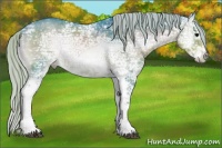 Horse Color:Watercolor White Spotted Silver Smoky Blue Onyx Ice Sabino Splash Rabicano 