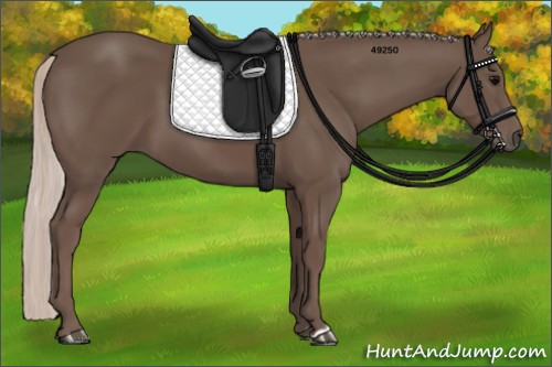 Horse Color:Silver Black 