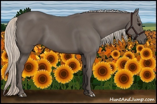 Horse Color:Silver Black