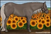 Horse Color:Silver Black 