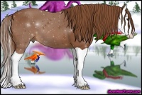 Horse Color:Chestnut Splash 