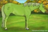 Horse Color:Watercolor Chestnut 